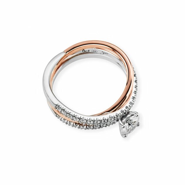 Donatella - Image 2
